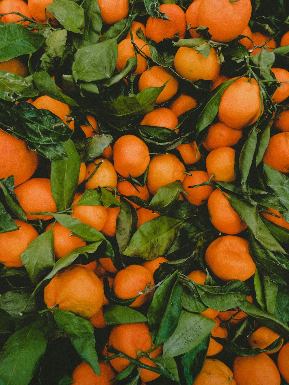 bunch of orange fruits