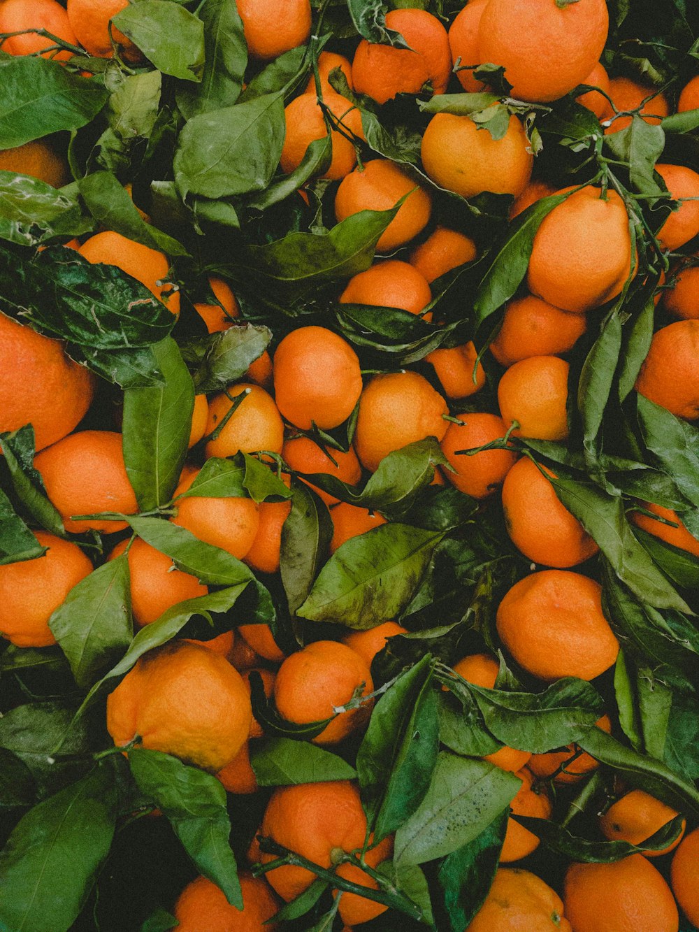 racimo de frutas naranjas