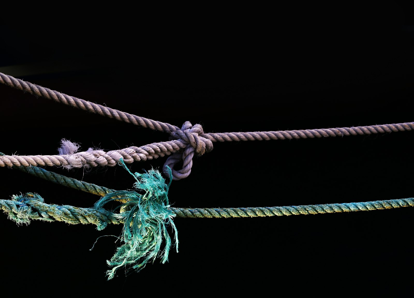 Nikon D750 + Tamron SP 90mm F2.8 Di VC USD 1:1 Macro (F004) sample photo. Purple and green ropes photography