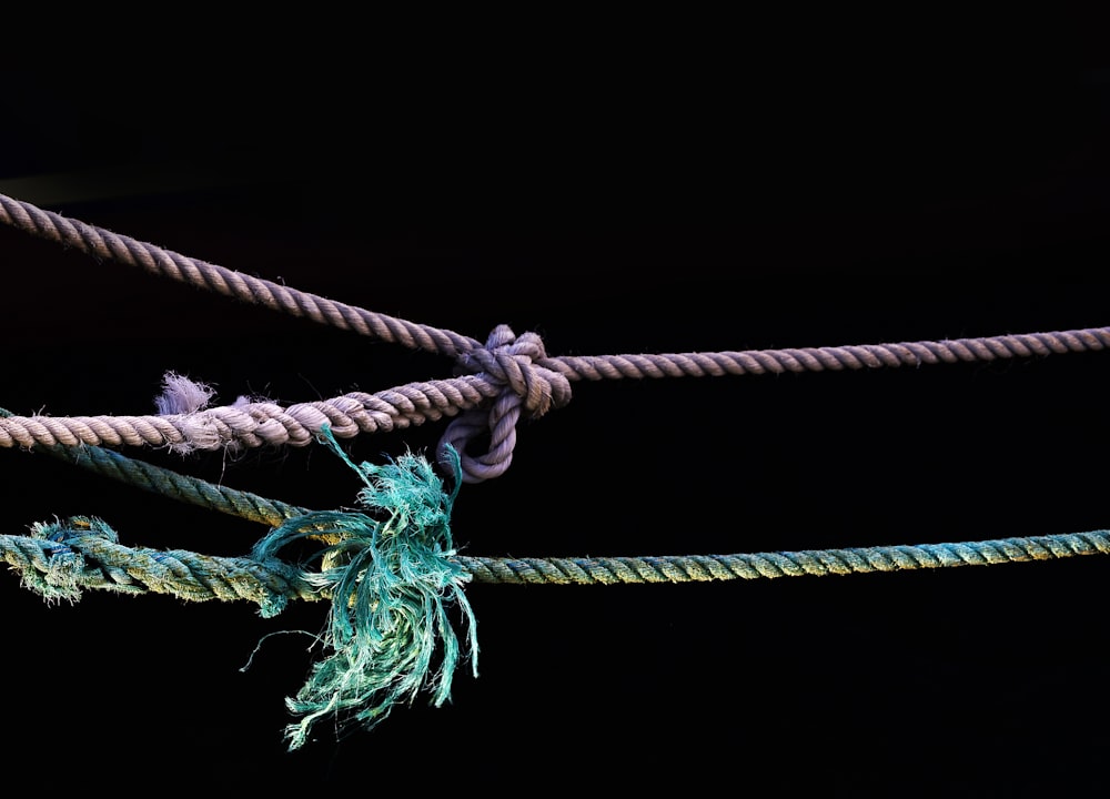 purple and green ropes