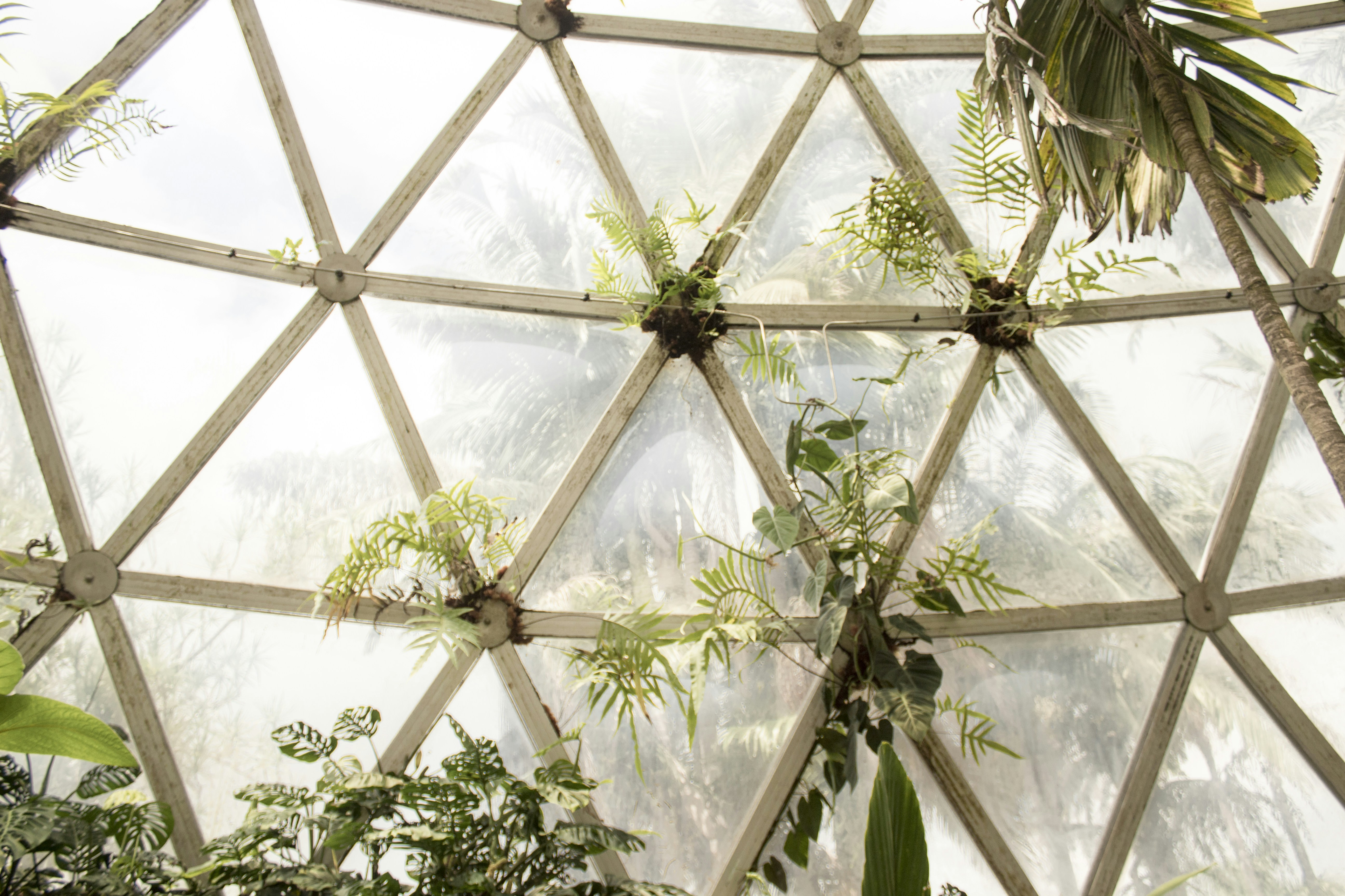Biophilic Basement Designs: Transform Your Space into Lush Retreats