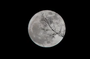 full moon