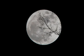 full moon
