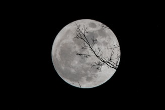 full moon