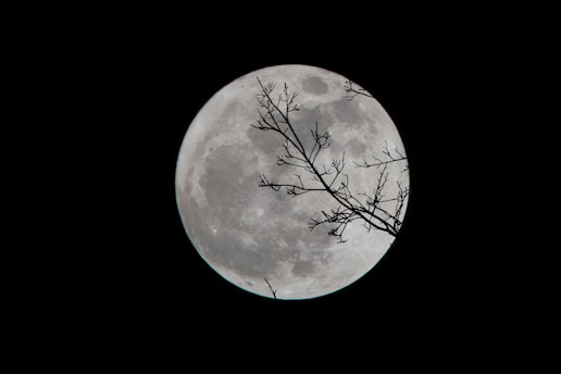 full moon