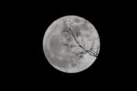 Lunar Eclipse moon stories