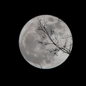 full moon