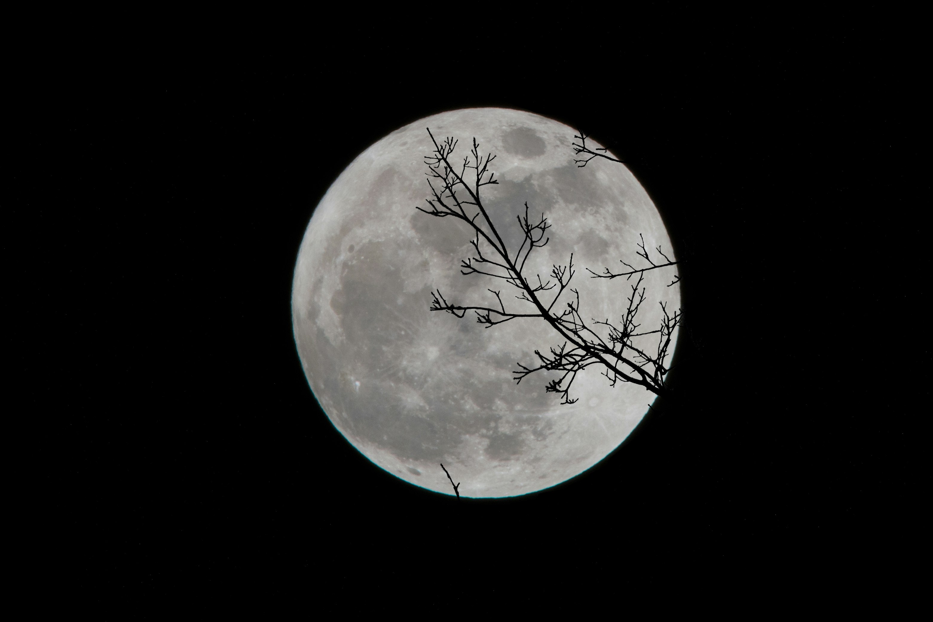 Best 100+ Moon Images [HD]  Download Free Pictures & Stock Photos on  Unsplash