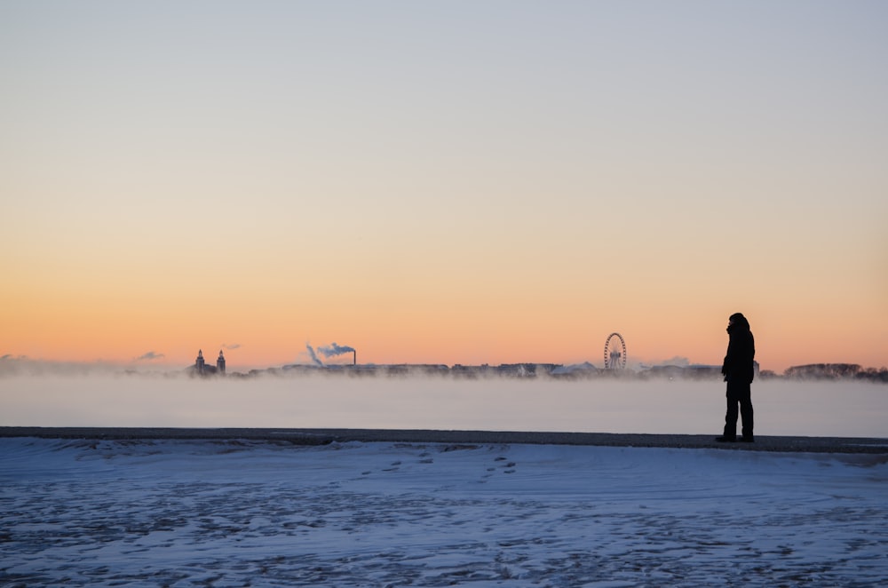 silhouette of person standing on seashore