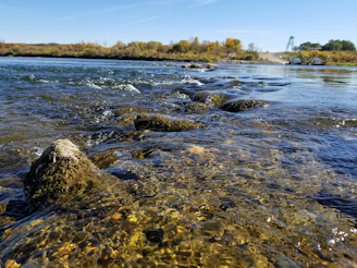 Close-up of water testing equipment by a riverbank.