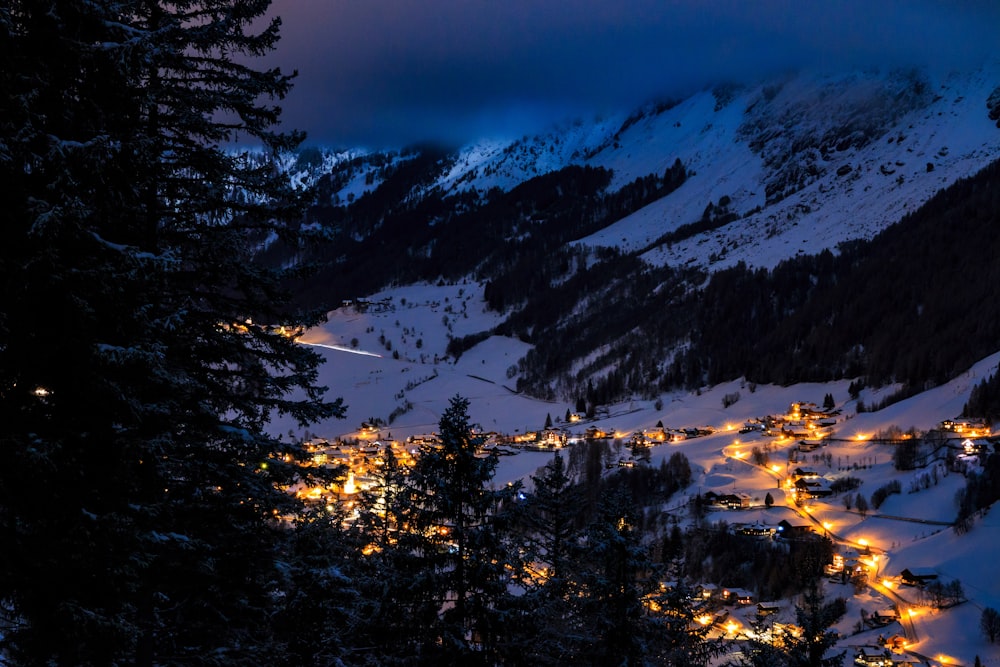 Maisons de champ de neige près des arbres