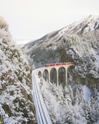 approaching red train across mountains