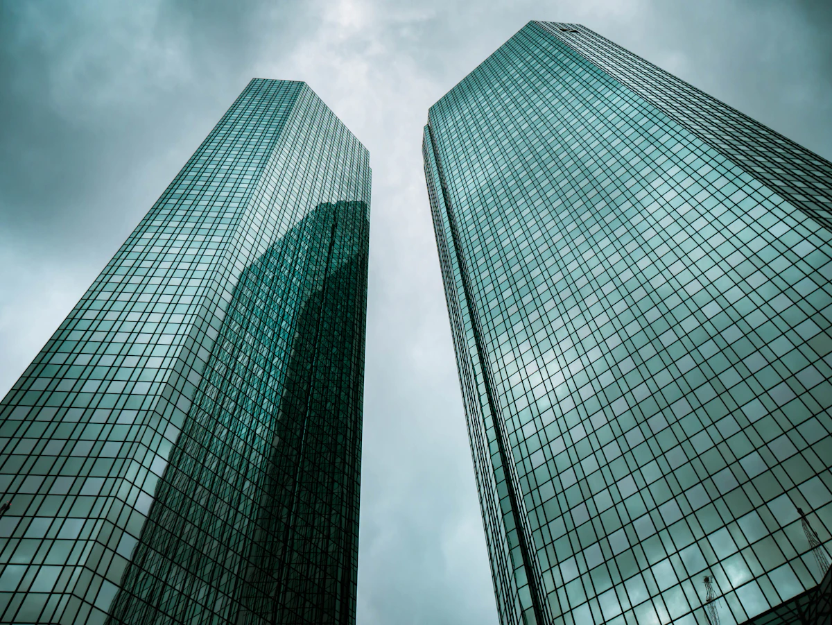 US Subsidiary or Branch? The Tax Math for Canadian SaaS Companies Expanding South