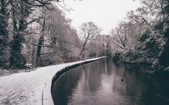grayscale photography of river near park in Endcliffe Park United Kingdom
