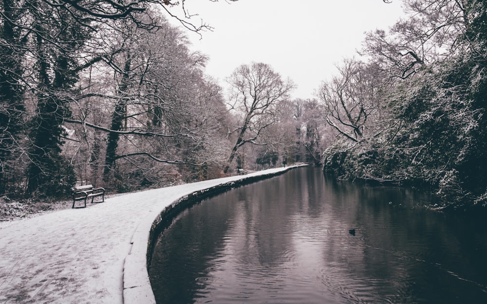 grayscale photography of river near park