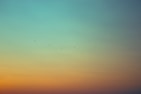 black birds flying under green and orange sky