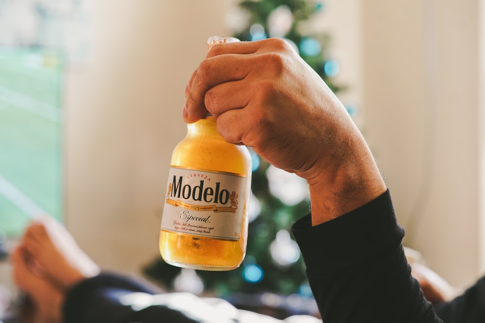 person holding modelo bottle