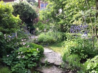 A serene herbal garden filled with various plants and flowers.