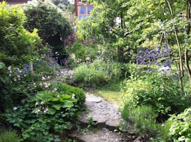 A lush garden filled with various types of plants and flowers, creating a vibrant and serene atmosphere. The pathway of small stones leads through the greenery, surrounded by blooming flowers in shades of pink and purple. Trees and bushes add depth to the garden, creating an inviting and tranquil environment.