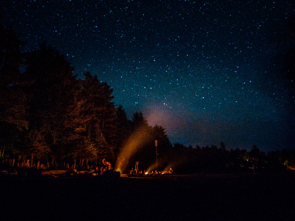 people having bonfire under blue sky filled with stars at night time