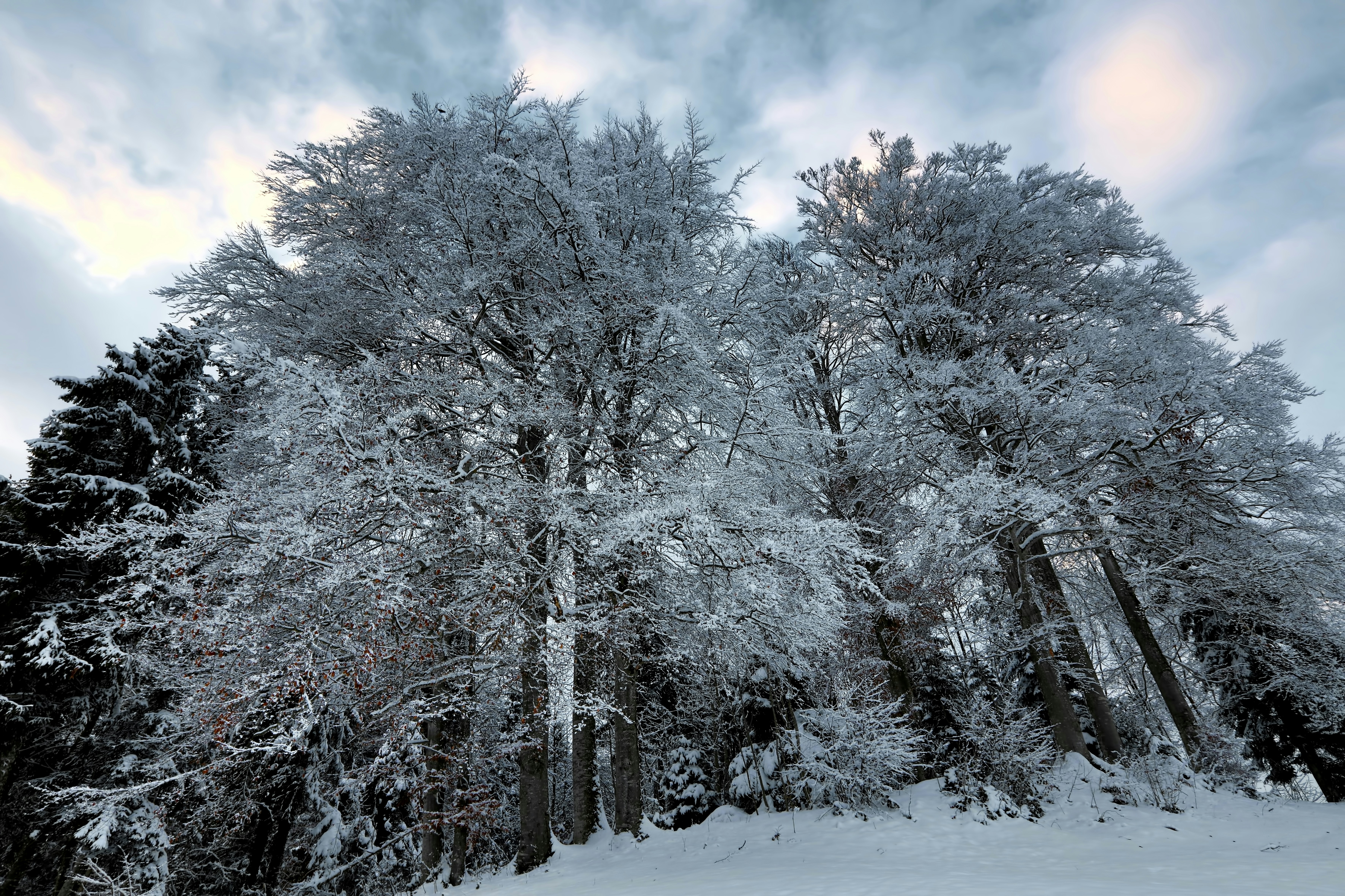 Photo by rgaleriacom