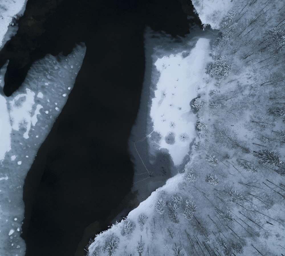 aerial view of trees covered with snow