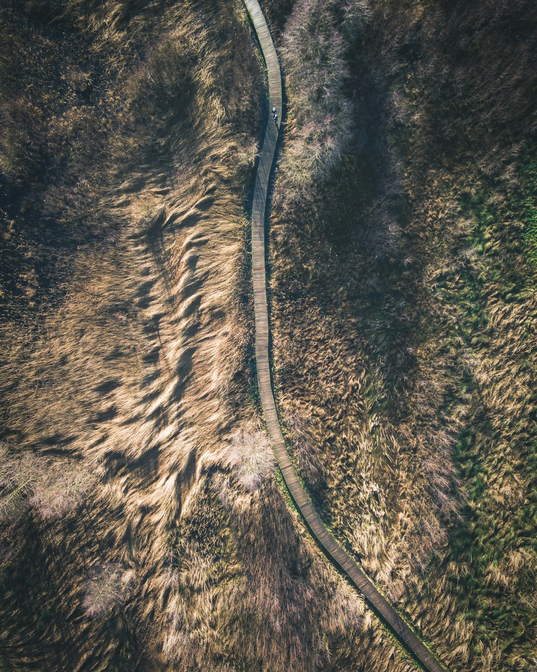 aerial view photography of train rail between grass at daytime