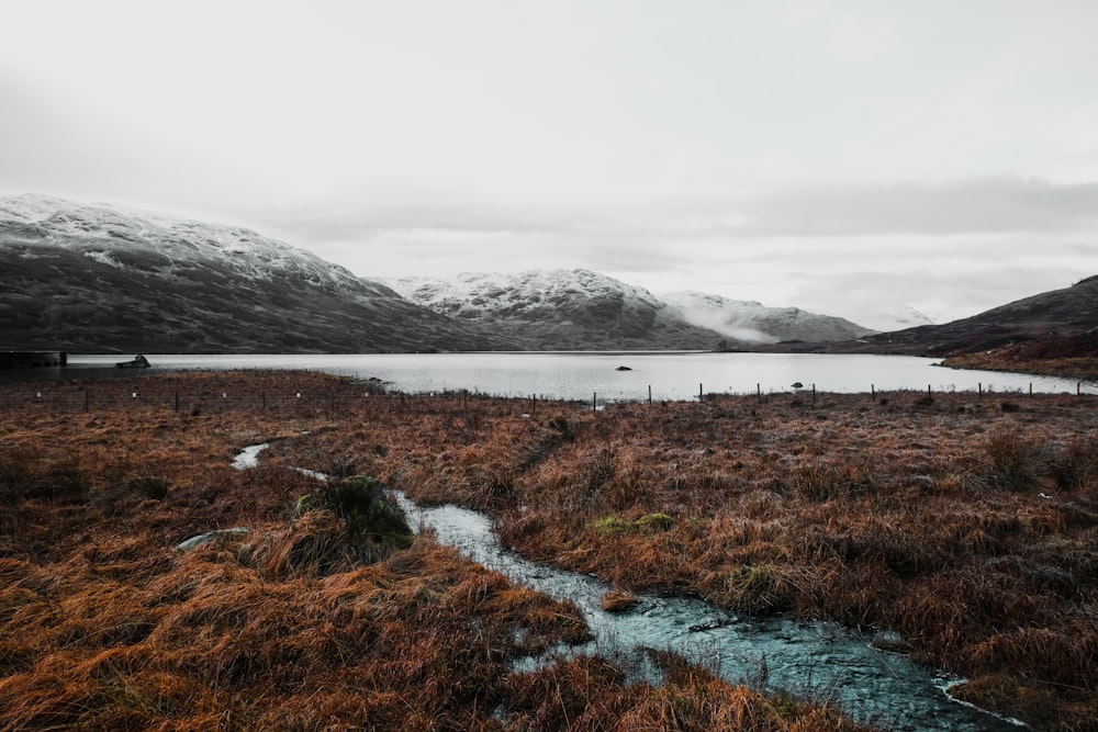 landscape photography of mountain