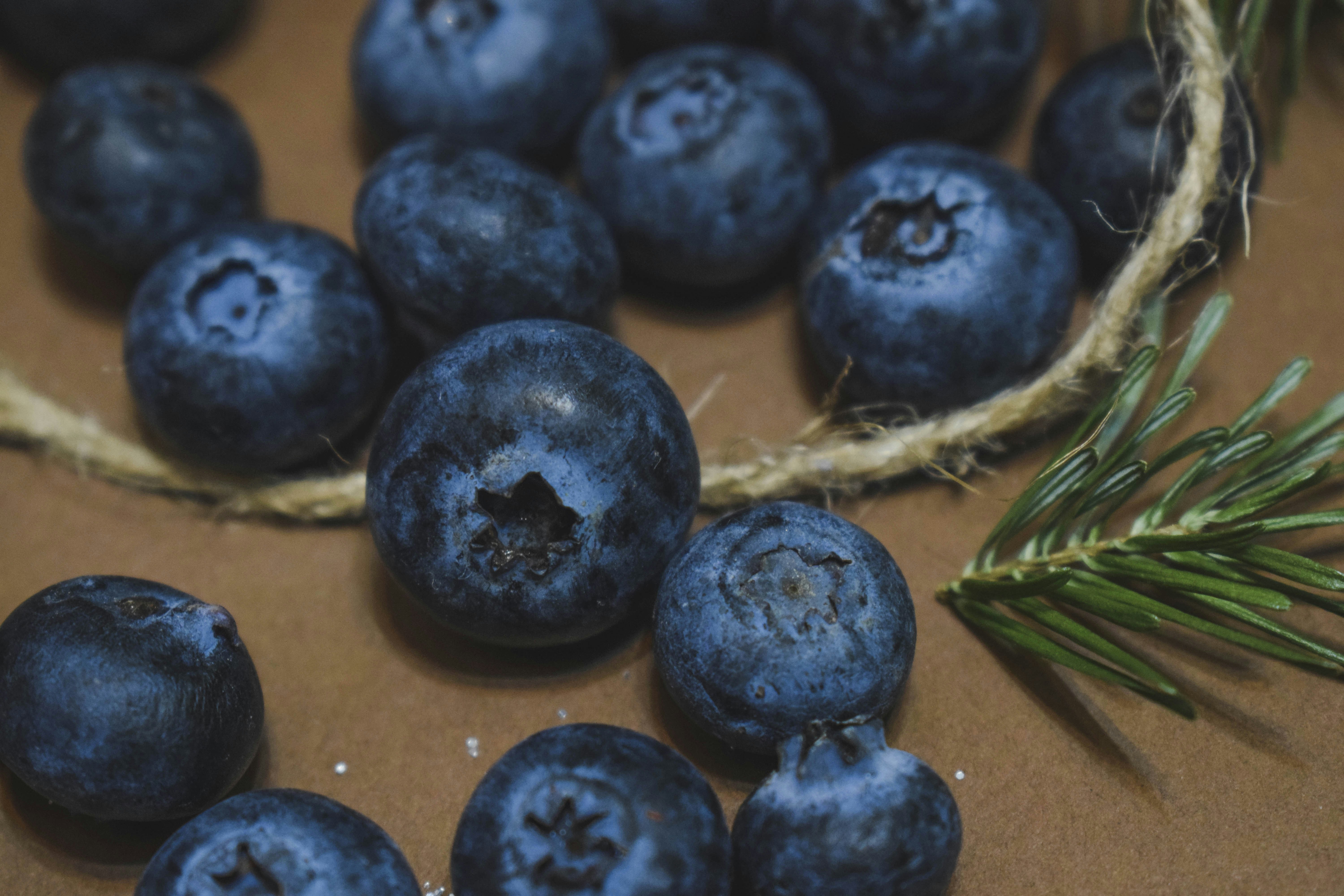 photo-1514995022470-96ab83a80cc7?ixlib=rb-1.2.1&ixid=eyJhcHBfaWQiOjEyMDd9&auto=format&fit=crop&w=1500&q=80