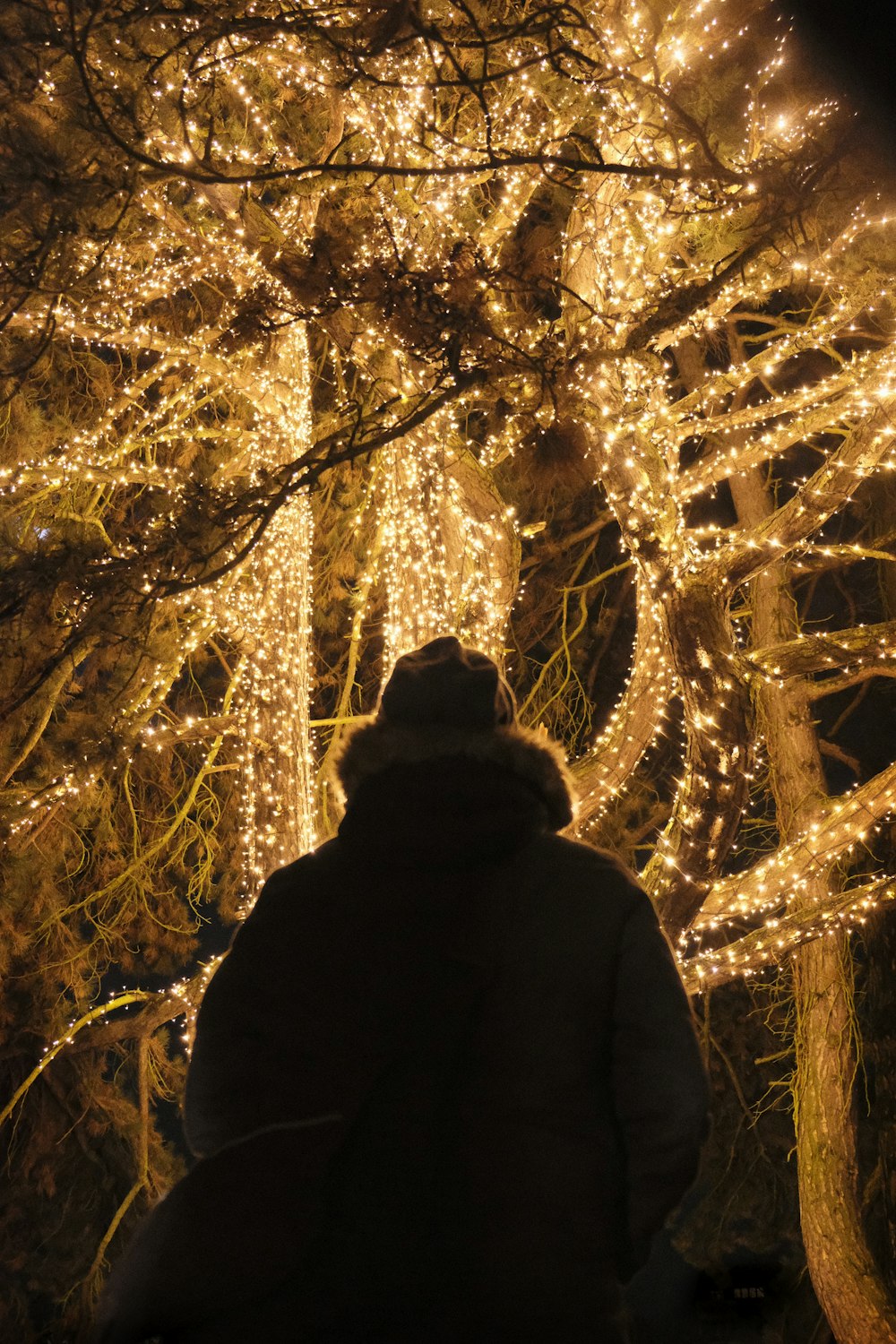 Person, die auf eine gelbe Lichterkette schaut