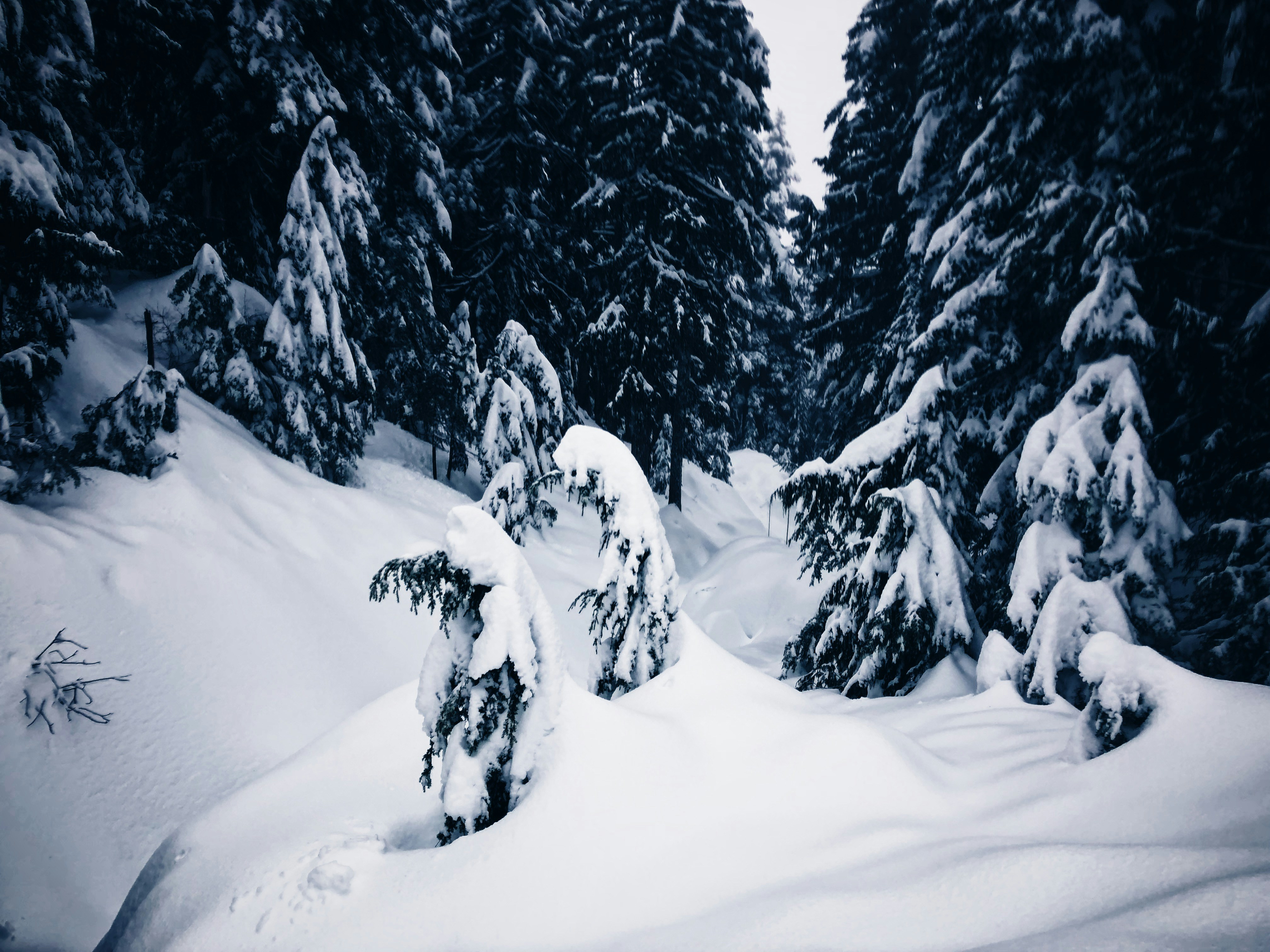 Photo by wallofxavier