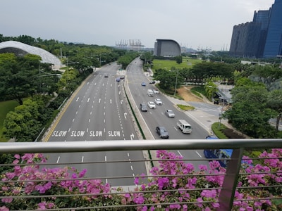 A multi-lane highway with minimal traffic, surrounded by lush greenery and modern buildings. The road has 'SLOW' markings, and vehicles are both moving and stationary. There are pink flowers in the foreground with a backdrop of distant industrial structures.