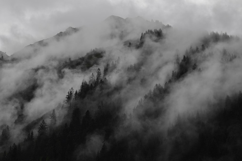 fotografia di paesaggio di Foggy Hill