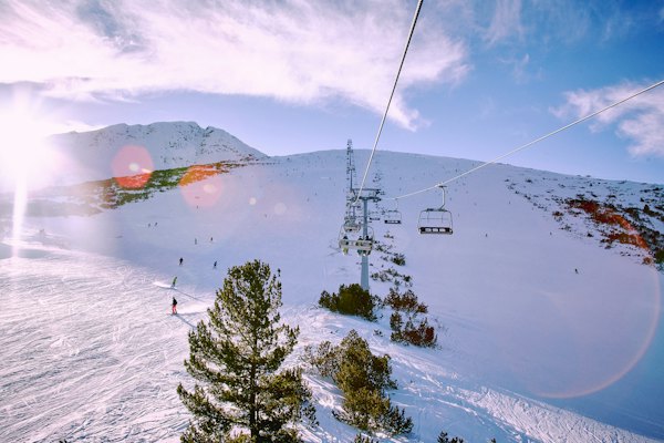People on snow capped filled with trees during daytime — Bansko, Bulgaria
