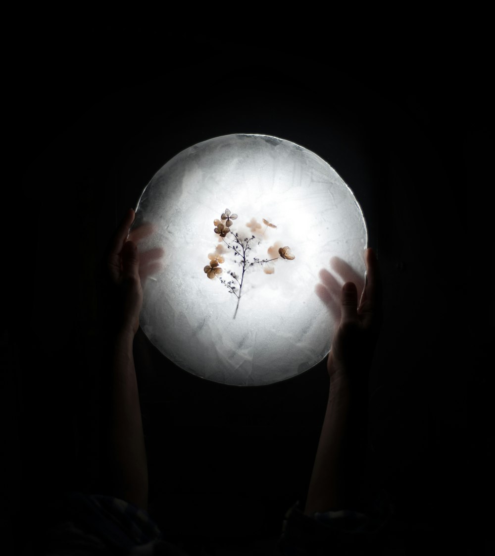 person holding a preserve flower