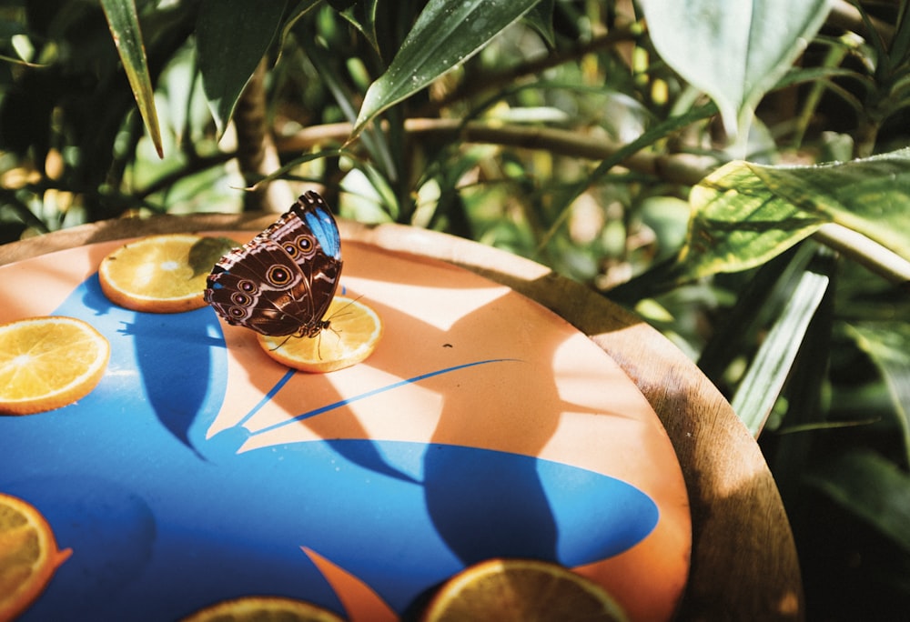 brown butterfly on top wood surrounded by plants