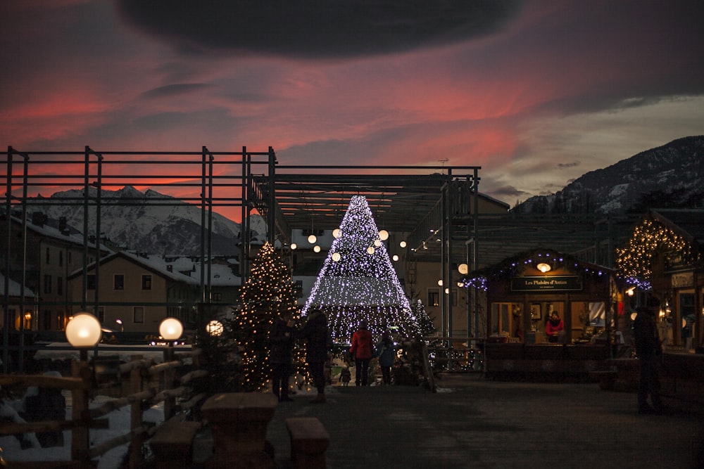 people walking on the street beside Christmas tree