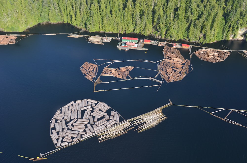 brown wood on body of water at daytime