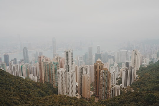 high-angle view of high-rise buildings in Victoria Peak Hong Kong