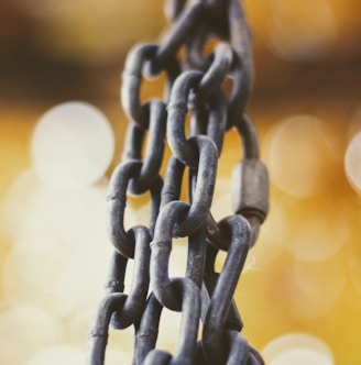 brown metal chain in focus photography