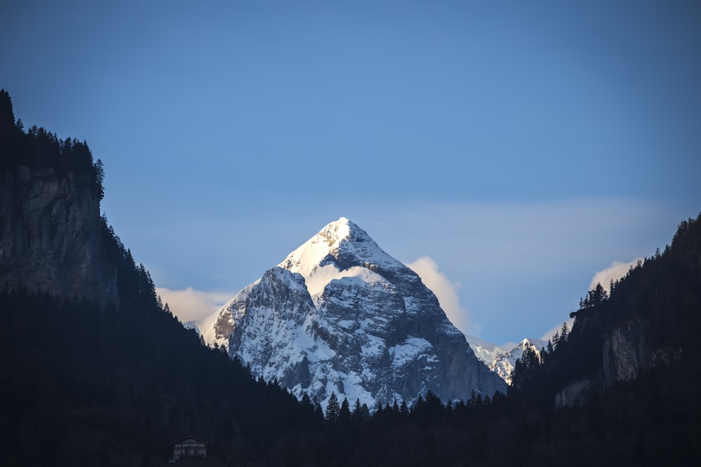 montagne couverte de neige entourée d’arbres