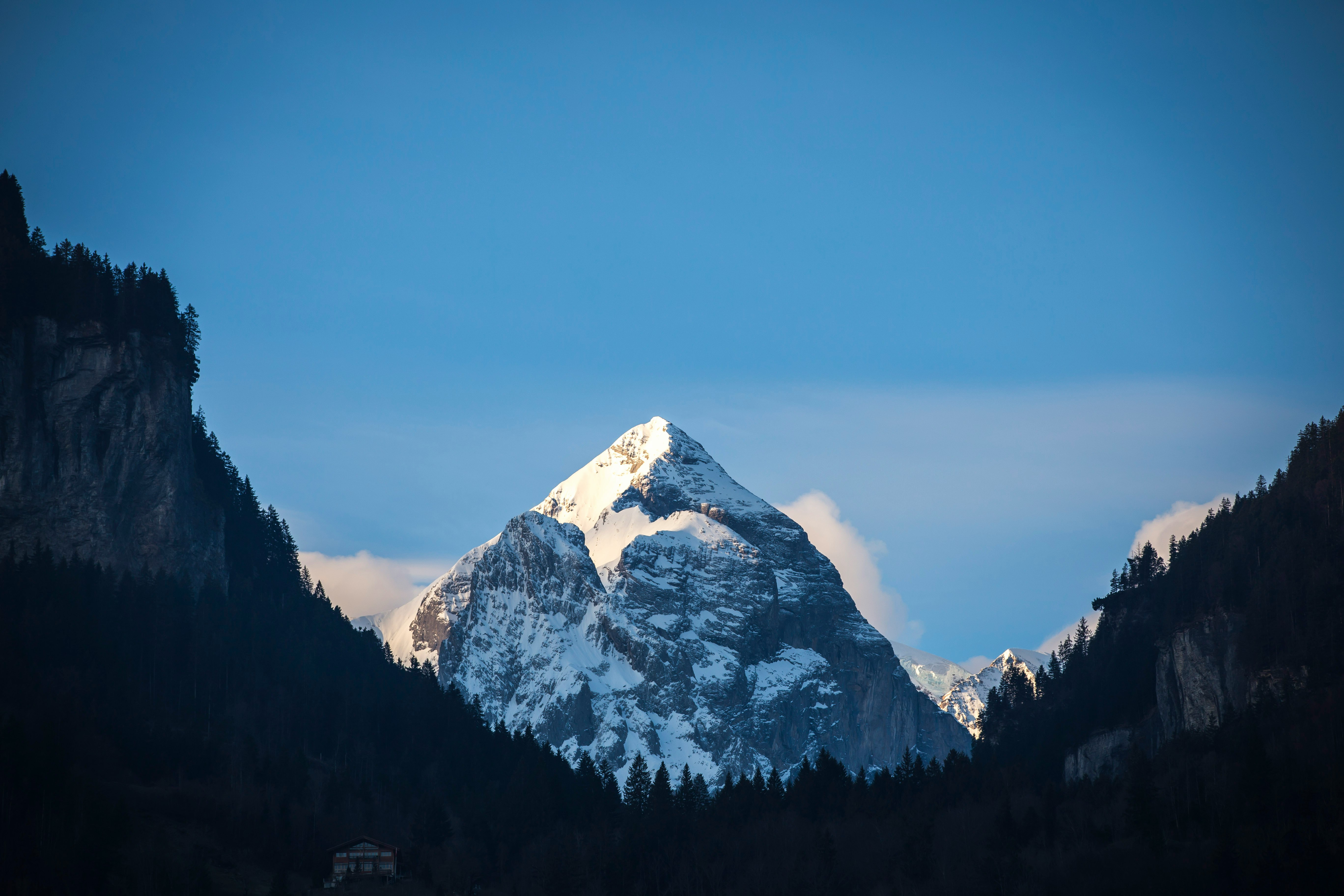 mountain covered with snow surrounded by trees