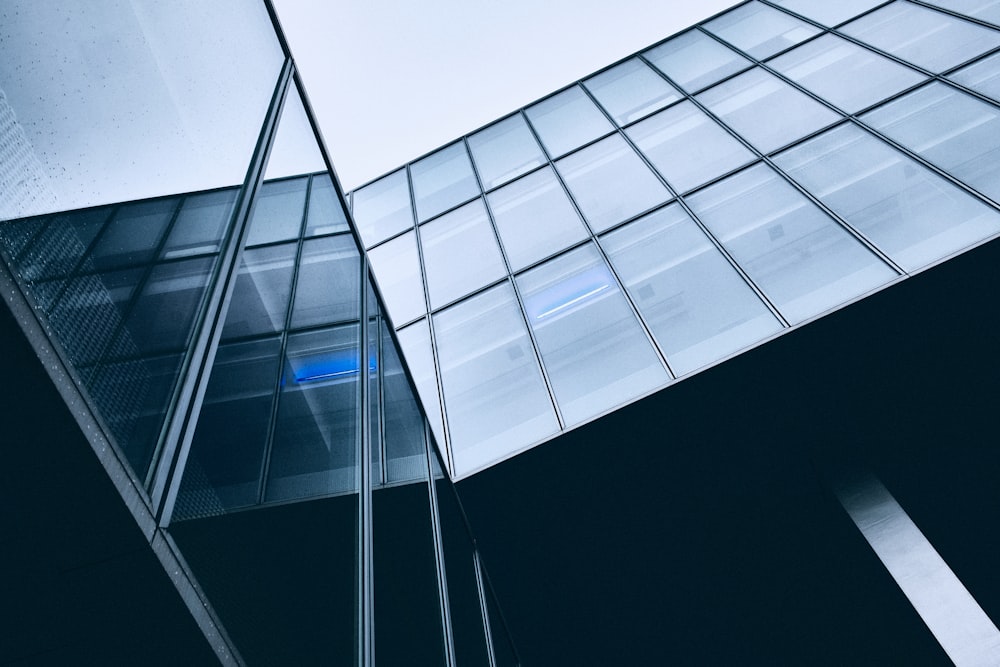 architectural photography of glass building