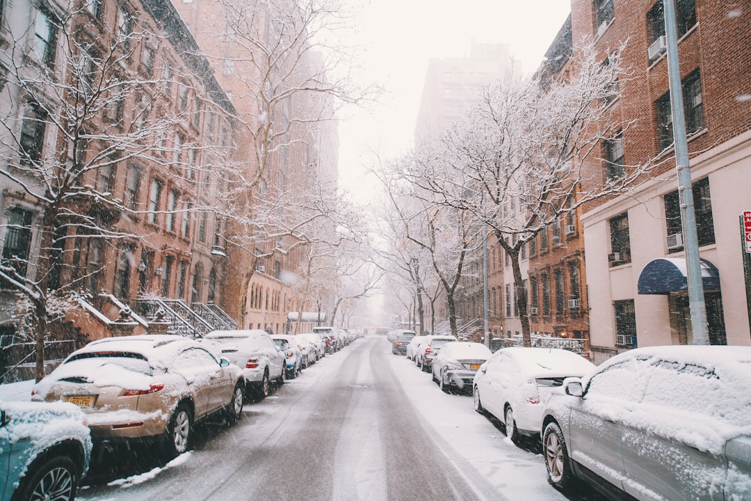 road between vehicles covered by snow parked beside concrete buildings and bare trees,
