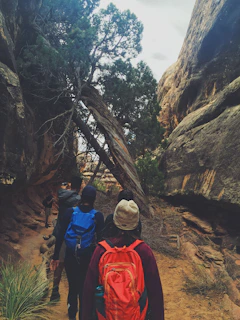 Several people are hiking through a narrow canyon or rocky area with trees and large boulders. They are wearing backpacks and outdoor gear.