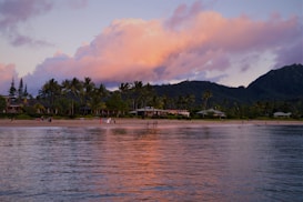 A serene beach scene features calm waters reflecting the pastel colors of a sunset sky. There are softly lit clouds in shades of pink and orange. The shoreline is lined with palm trees and several small houses. In the foreground, people can be seen walking along the beach, creating a tranquil and relaxed atmosphere.