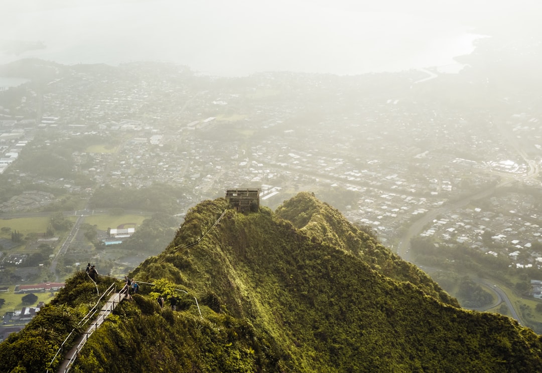 person on brown pathway, Looking out over the bay after climbing the Haiku stairs