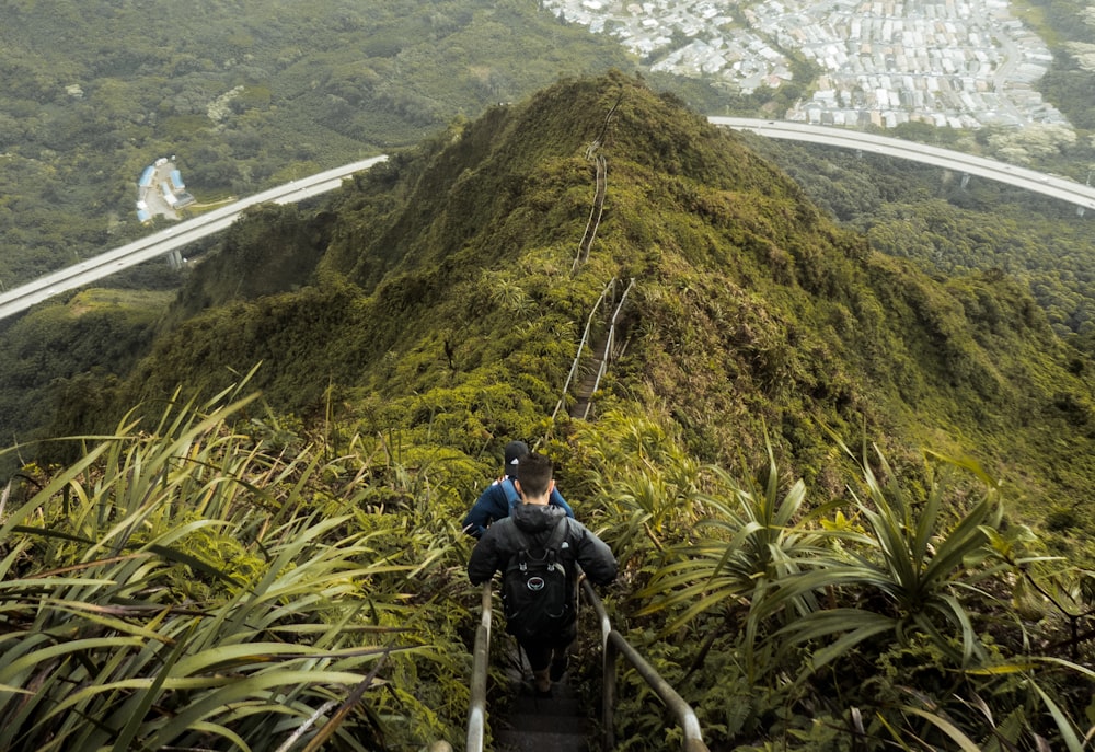 high angle photo of mountain with stairs