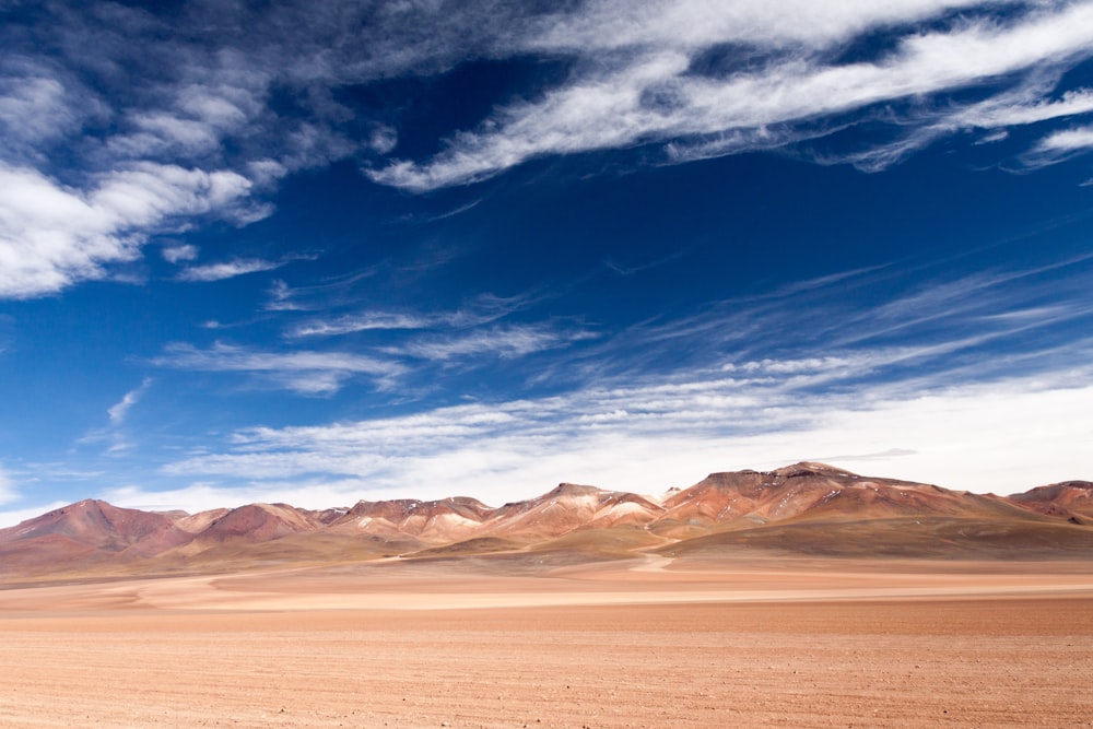 loess marrón bajo el cielo nublado