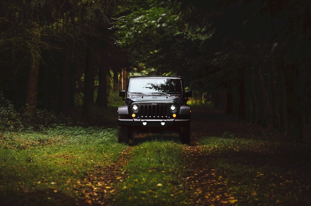 black Jeep Wrangler SUV on green under trees